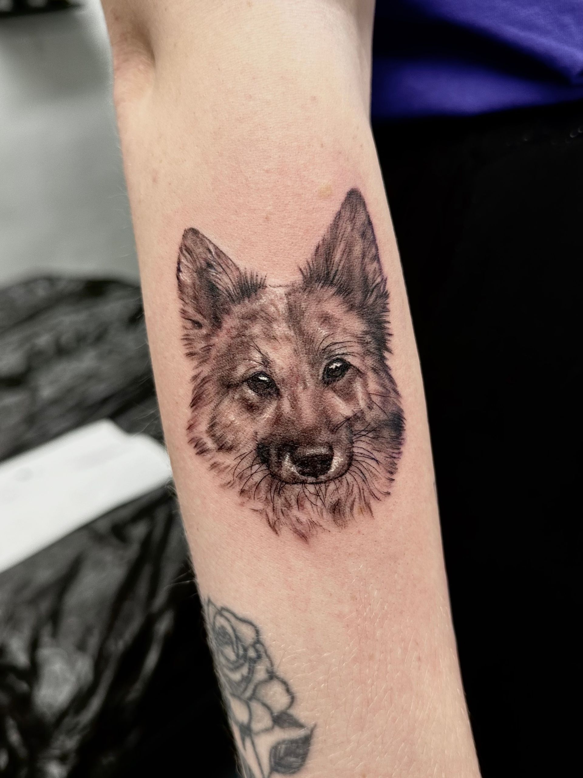 Realistisches, kleines Tattoo eines Hundes