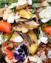 Déchets organiques composés d’épluchures de fruits et légumes, de restes alimentaires et de fleurs fanées destinés au compostage ou à la valorisation des biodéchets.