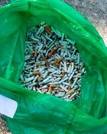 Sac vert contenant une grande quantité de mégots de cigarettes collectés et regroupés pour être éliminés ou recyclés.