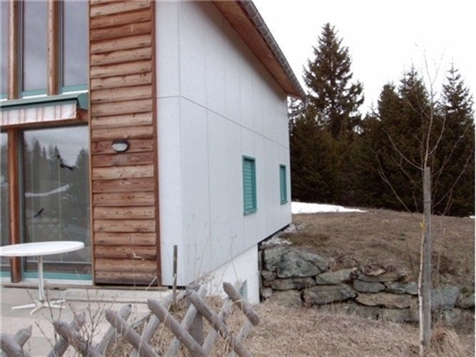 Fassadenbau / Pelicolorfassade