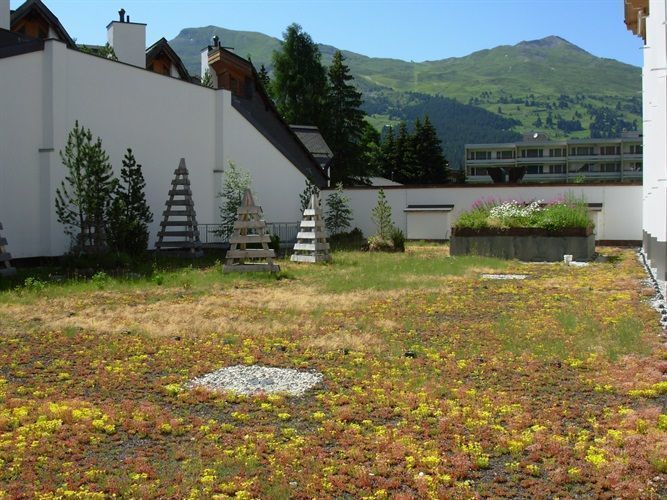 Flachdach privat / Hotel Schweizerhof