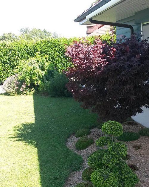 Création d'espace vert