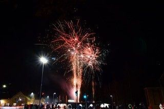 wildnationwildnation