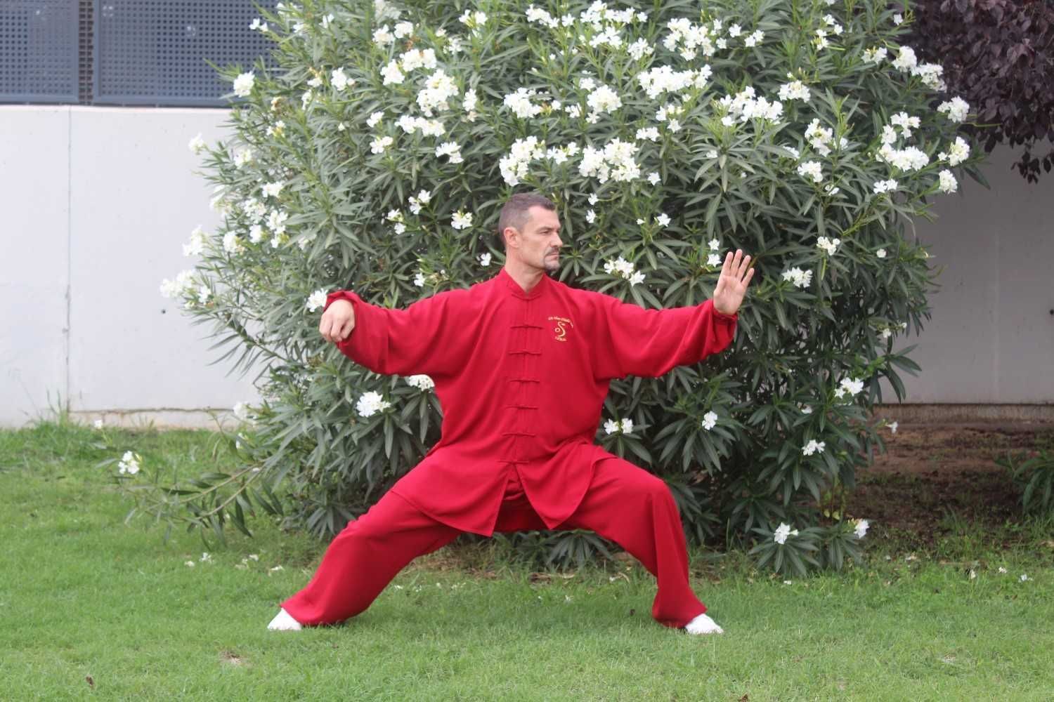 Una persona vestida de rojo practica una postura de artes marciales sobre la hierba frente a un arbusto en flor.