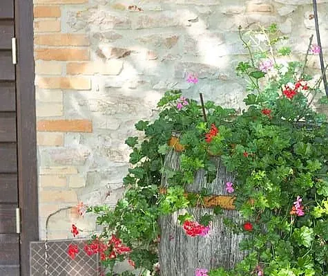 Un tocón de árbol con flores creciendo en él frente a una pared de ladrillos.