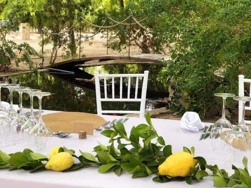 Mesa preparada para un evento al aire libre con limones, vegetación y fondo de agua.