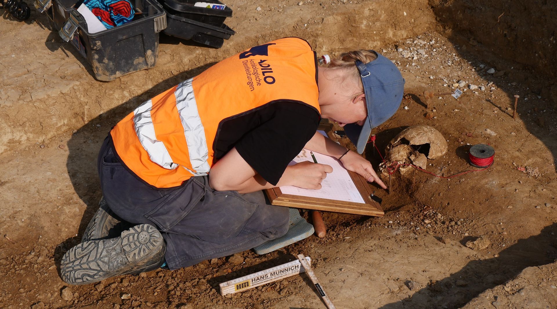 Ein Archäologe untersucht kniend einen Schädel an einer Ausgrabungsstätte und macht sich Notizen auf einem Klemmbrett.