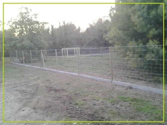 Une clôture en fil de fer entoure une zone herbeuse avec des arbres en arrière-plan