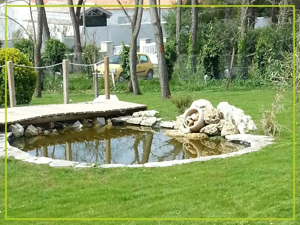Petite marre dans une cour herbeuse, avec une terrasse en bois et des arbres en arrière-plan