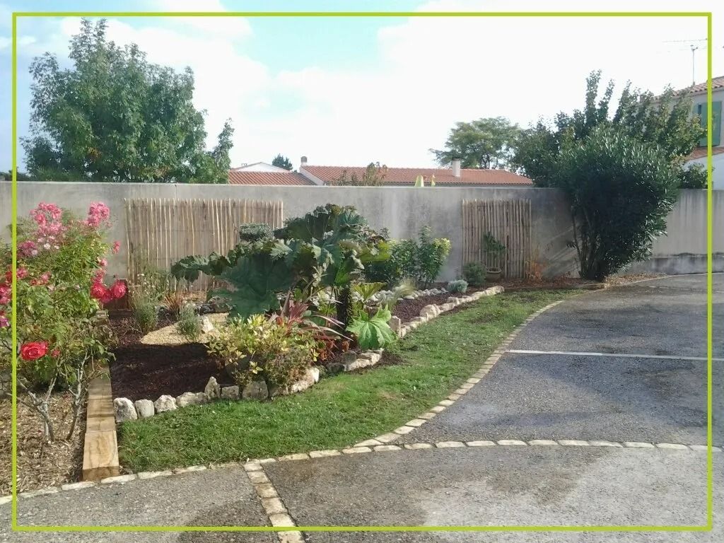 Jardin avec fleurs, plantes et bordure de gazon le long d'une zone pavée, avec un mur en béton