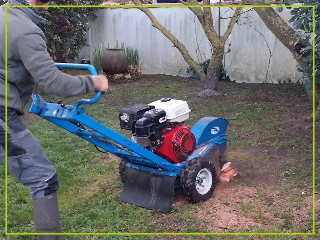 Une personne utilise une dessoucheuse bleue dans une cour herbeuse