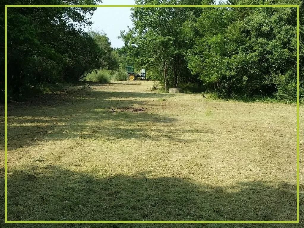 Champ herbeux tondu, encadré de verdure, avec des arbres sur les côtés et en arrière-plan