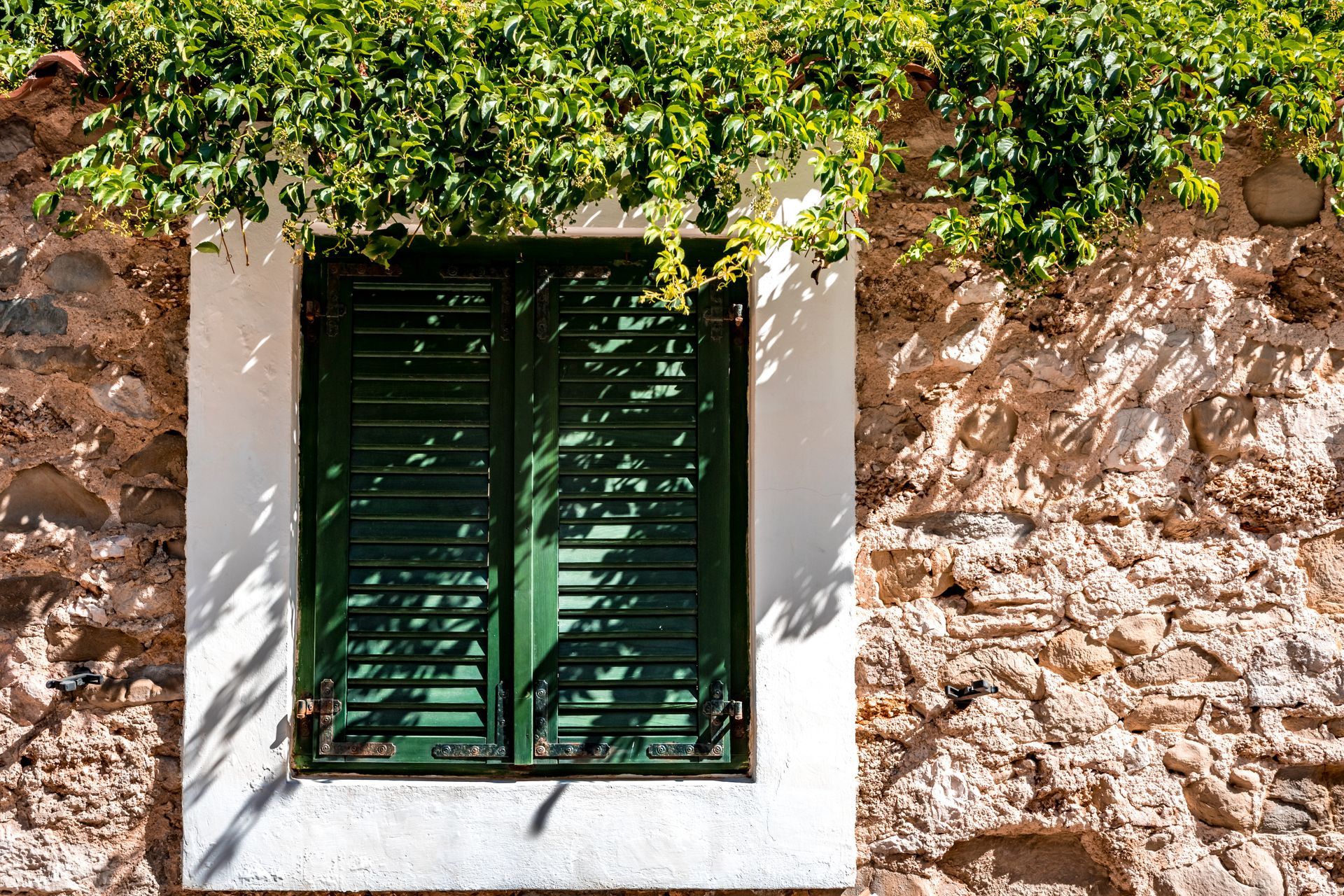 Fenêtre à volets verts sur un mur de pierre, recouverte de vigne vierge et éclairée par la lumière du soleil.