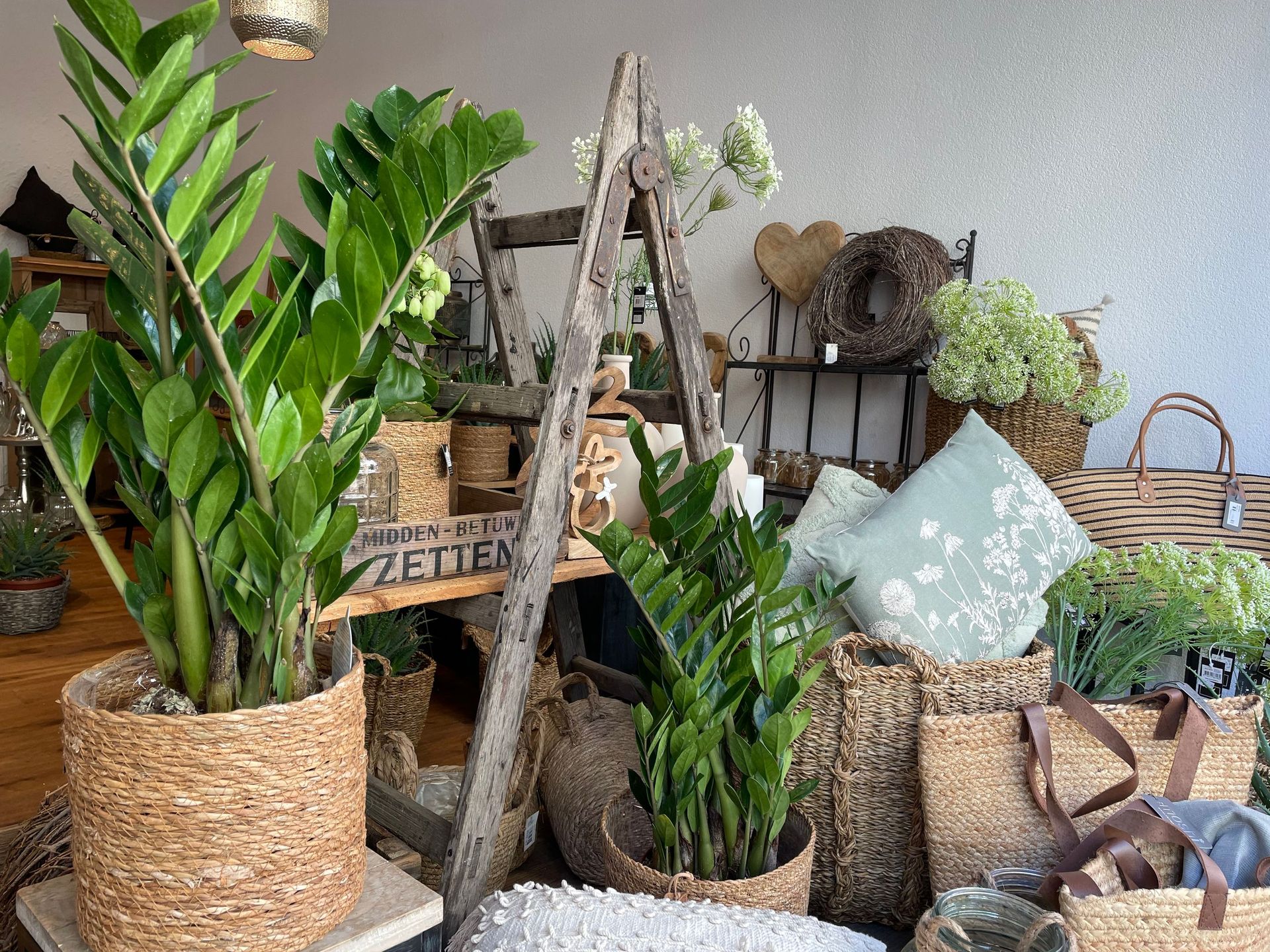 Ein Raum voller Topfpflanzen und Körbe.