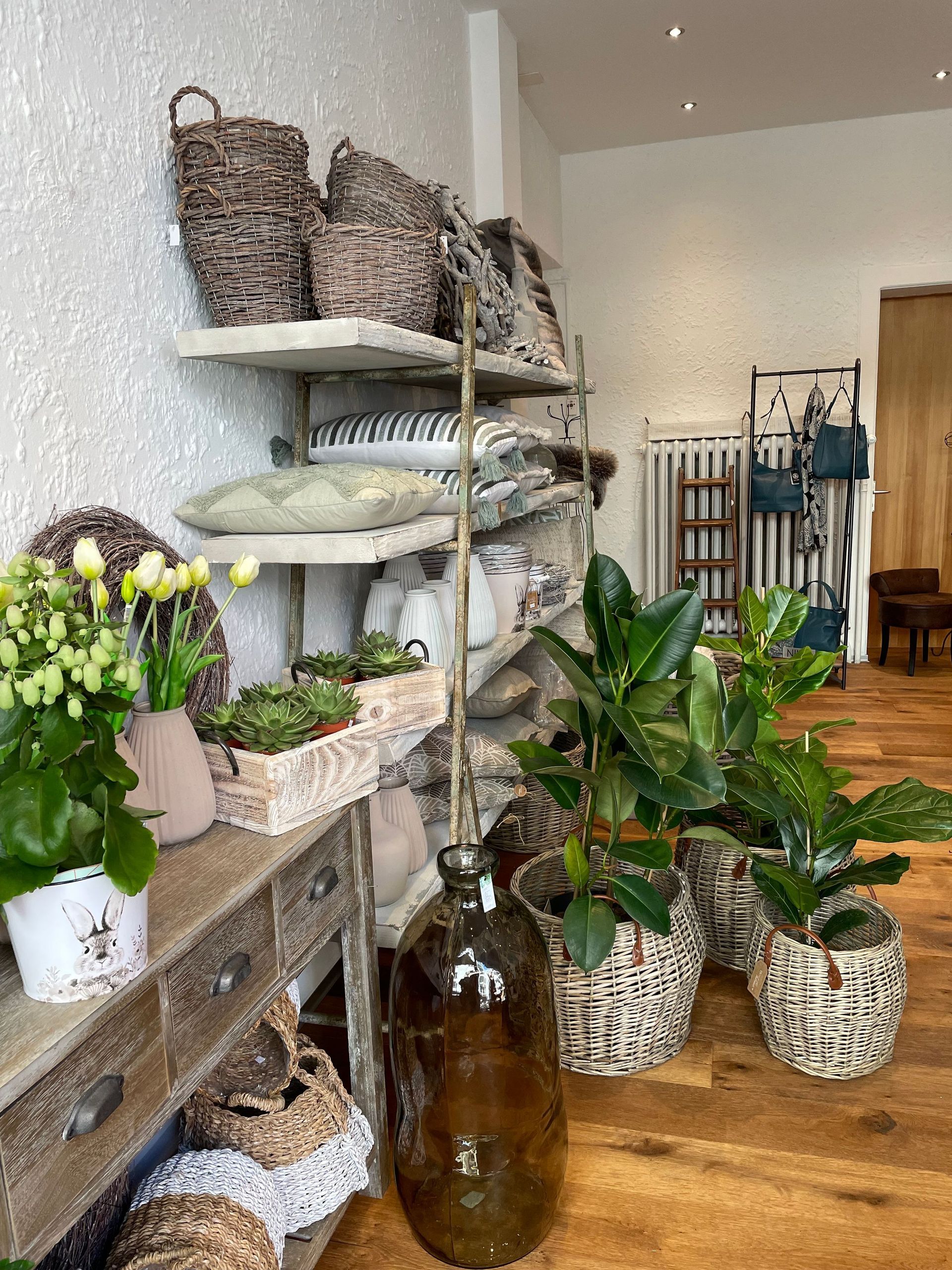 Ein Raum voller Topfpflanzen und Körbe.
