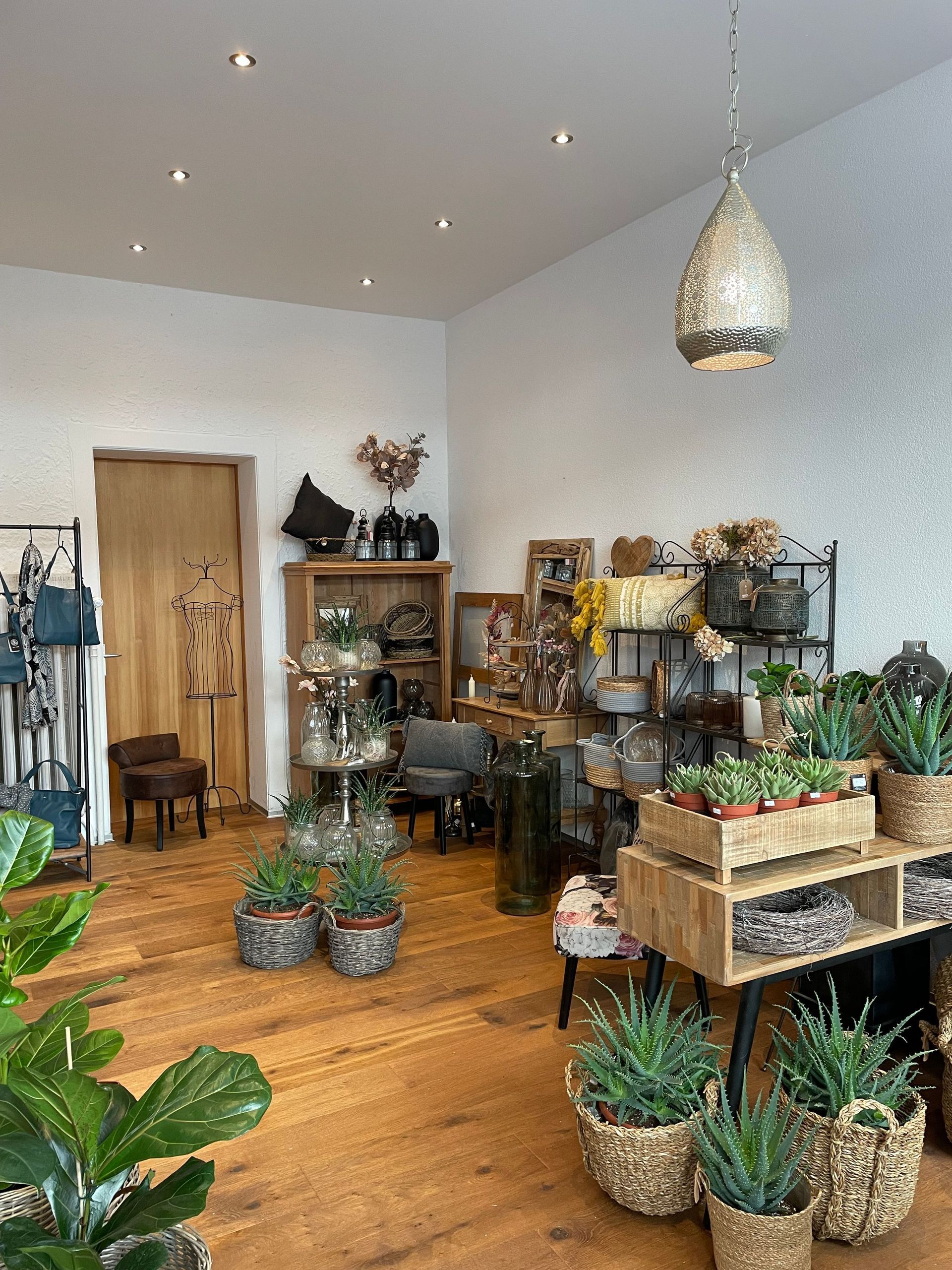 Ein Raum voller Topfpflanzen und Blumen.