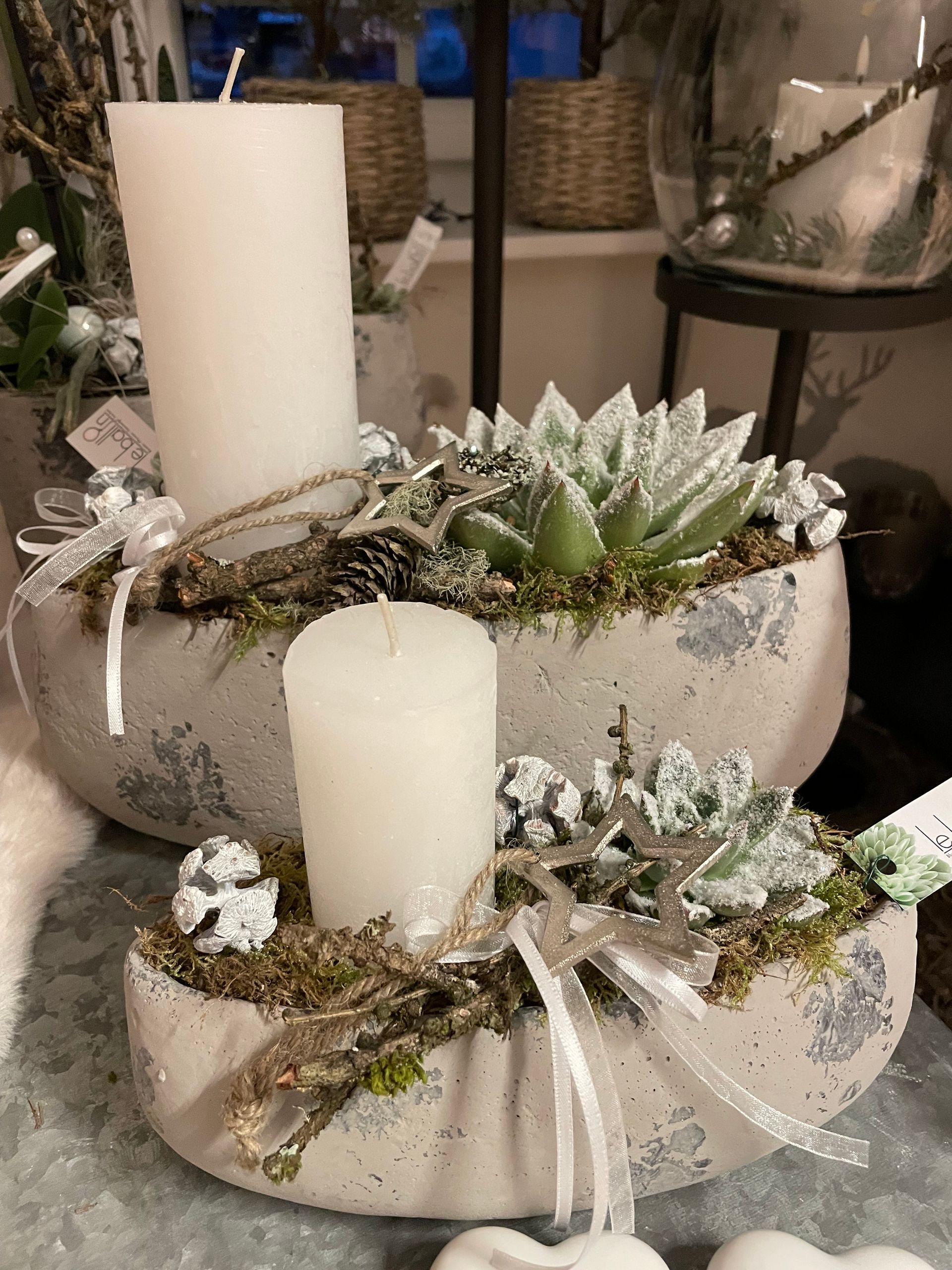 Zwei weiße Kerzen stehen auf einer Topfpflanze.