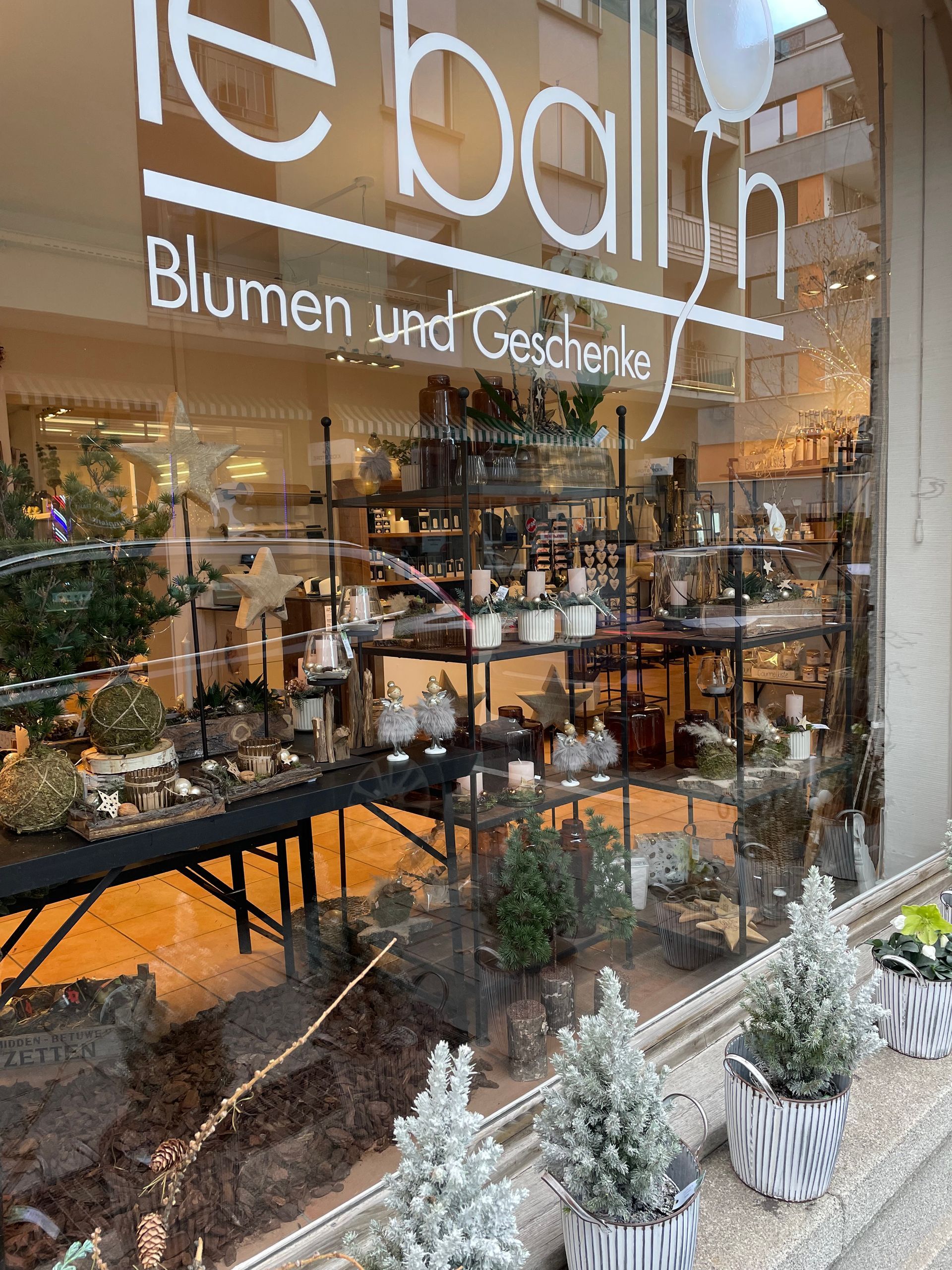Ein Schaufenster mit vielen Topfpflanzen davor.