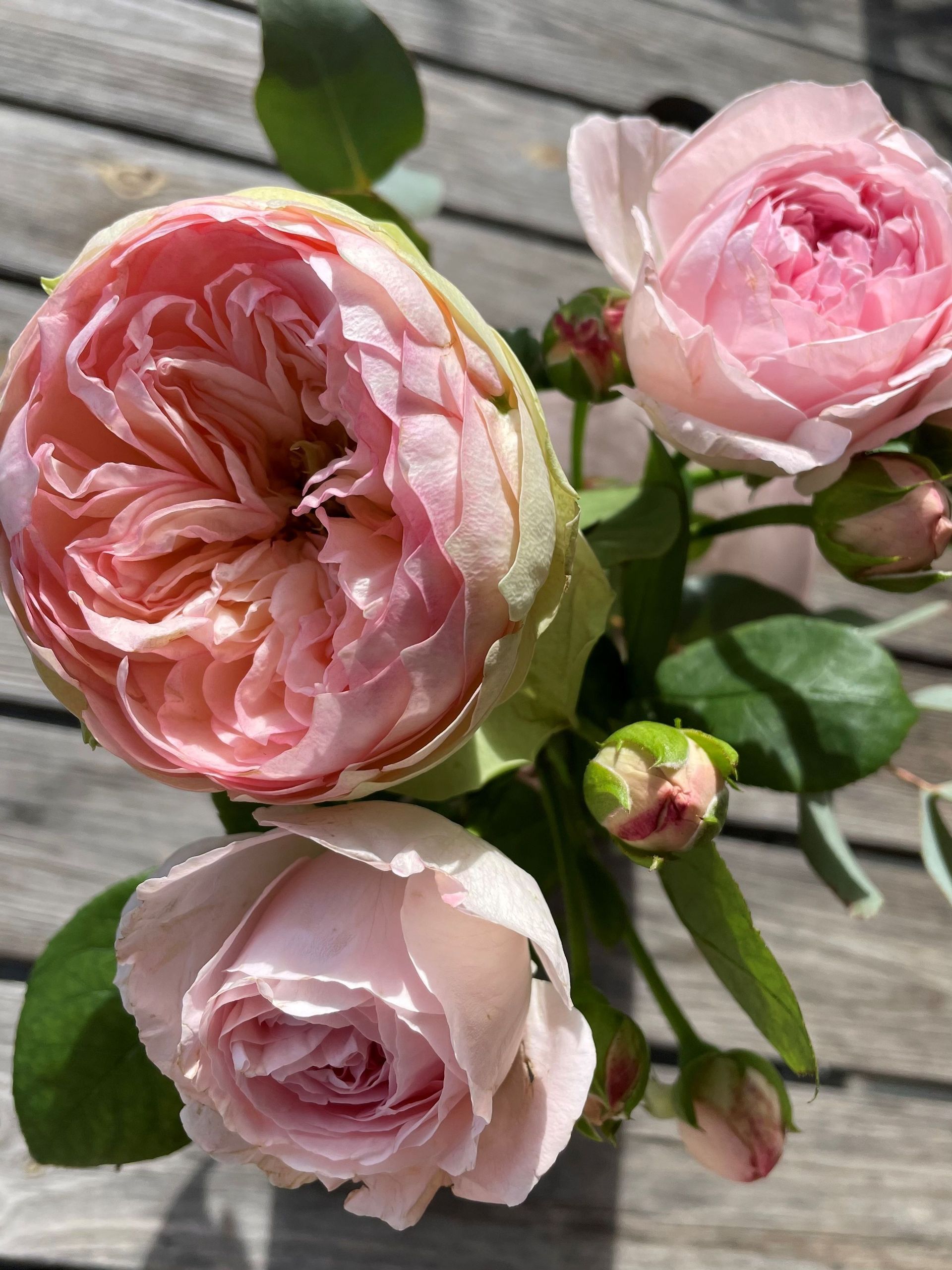 Ein Strauß rosa Rosen steht auf einem Holztisch.