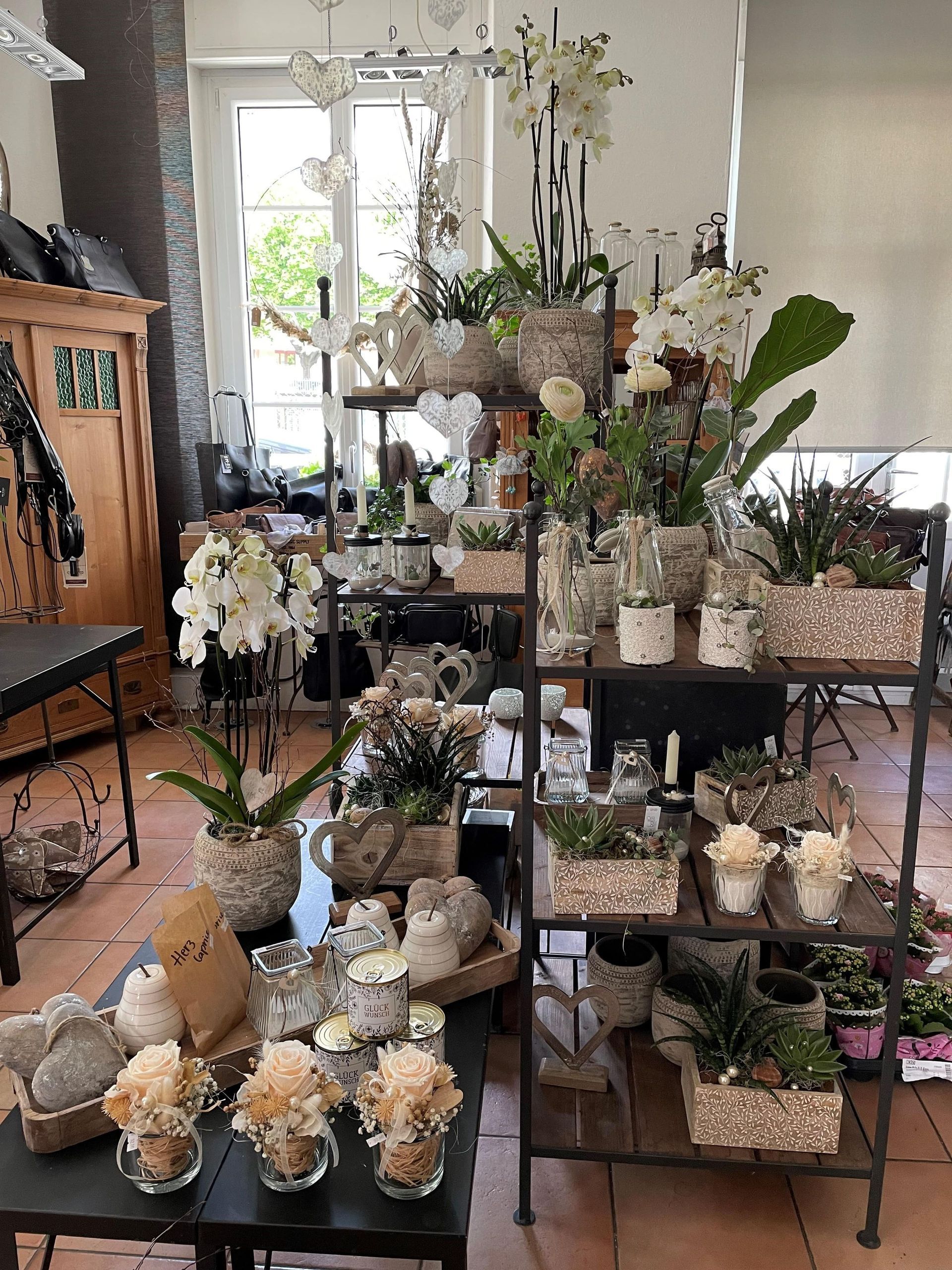 Ein Raum voller Topfpflanzen und Blumen.