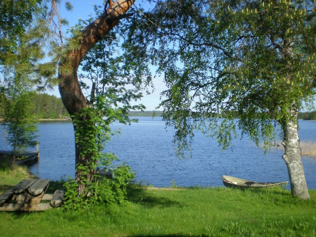 paavolanlomat