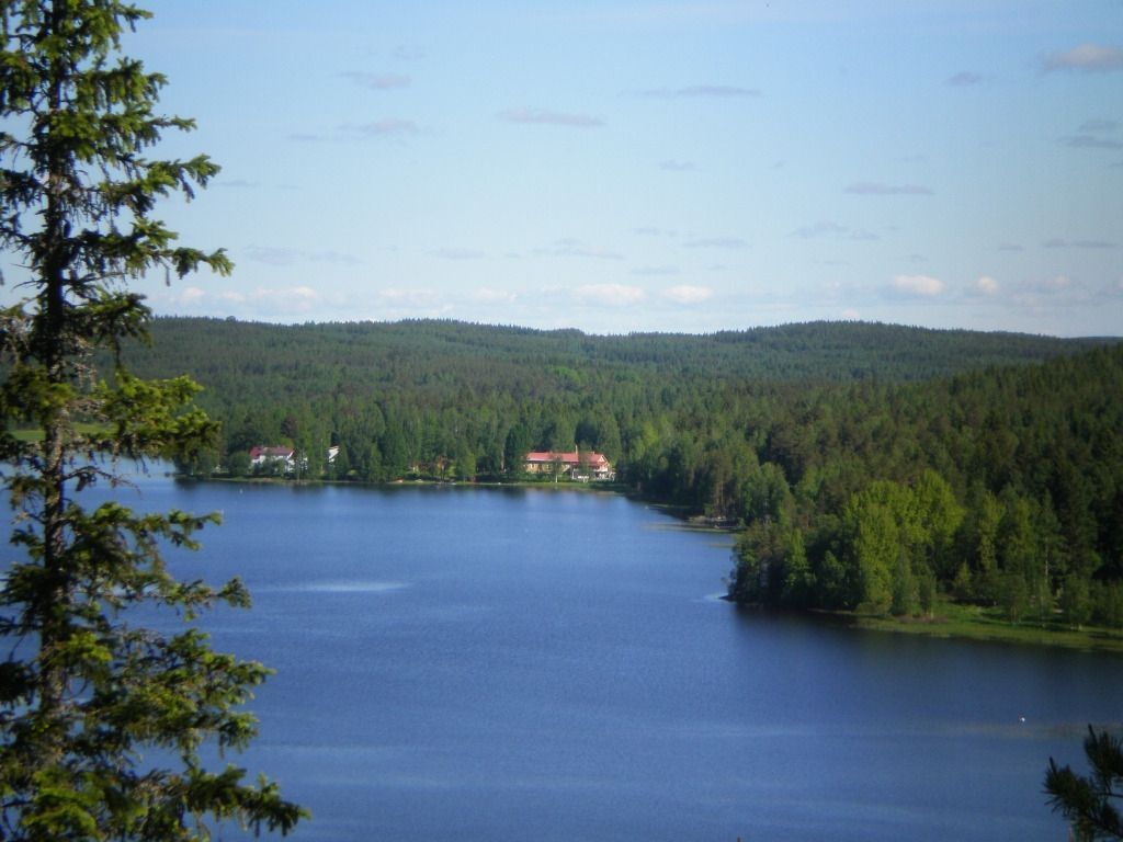paavolanlomat