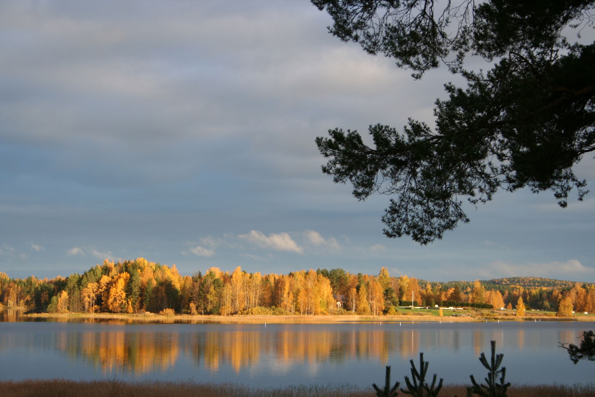 Luo Alt-tekstitunnisteet hakukoneoptimointia ja saavutettavuutta varten.
