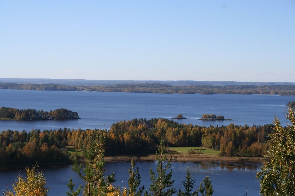 paavolanlomat