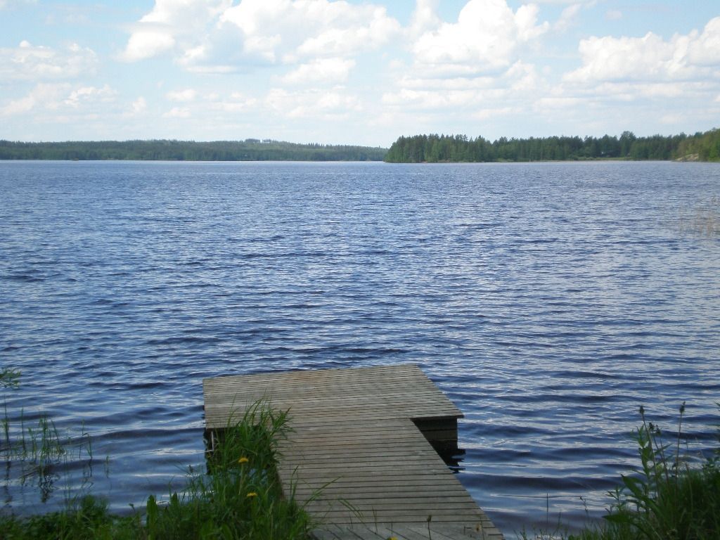 paavolanlomat