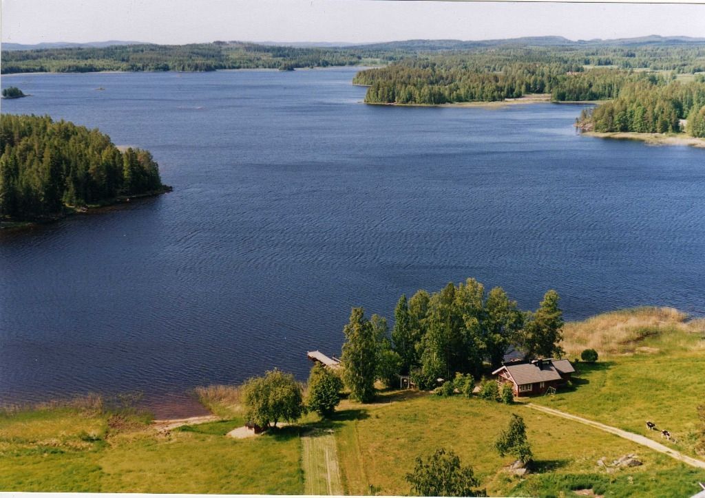 paavolanlomat