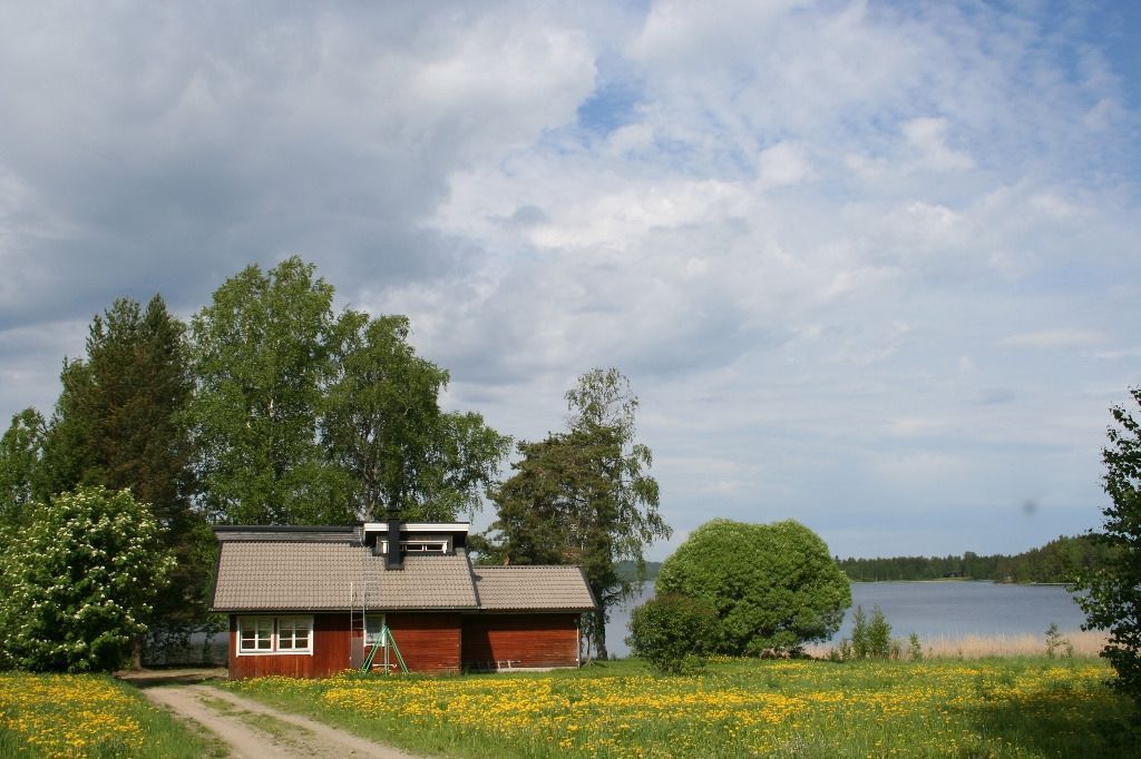 paavolanlomat