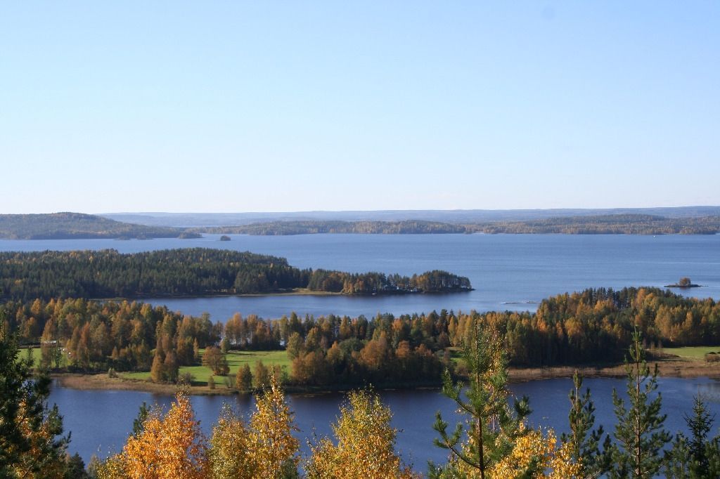 paavolanlomat