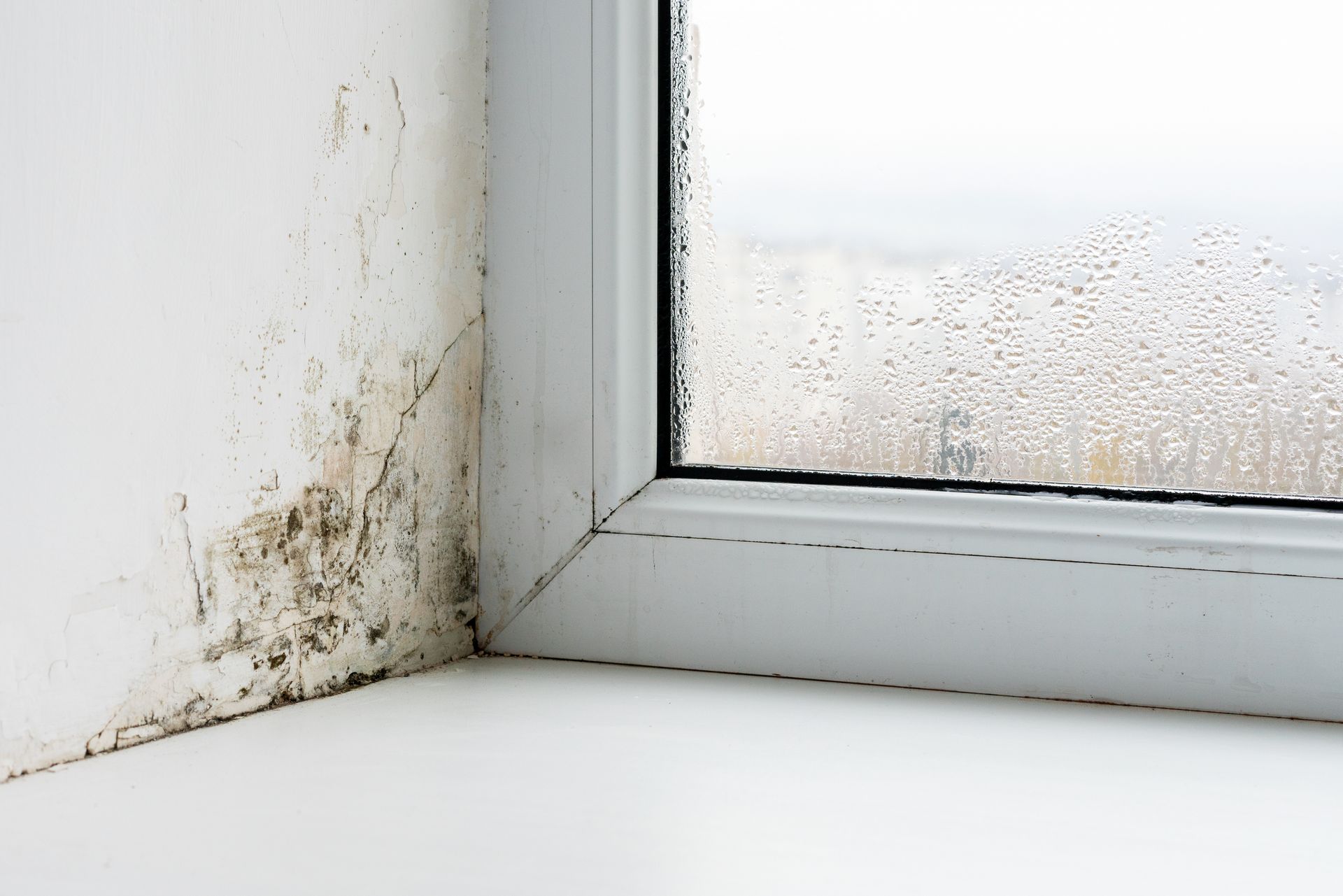 Moisissures et dégâts d'eau sur un mur blanc à côté d'un cadre de fenêtre embué.
