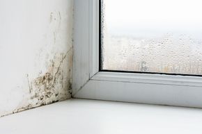 Moisissures et dégâts d'eau sur un mur blanc à côté d'un cadre de fenêtre.