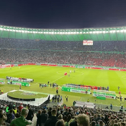 Eine große Menschenmenge sieht sich in einem Stadion ein Fußballspiel an.