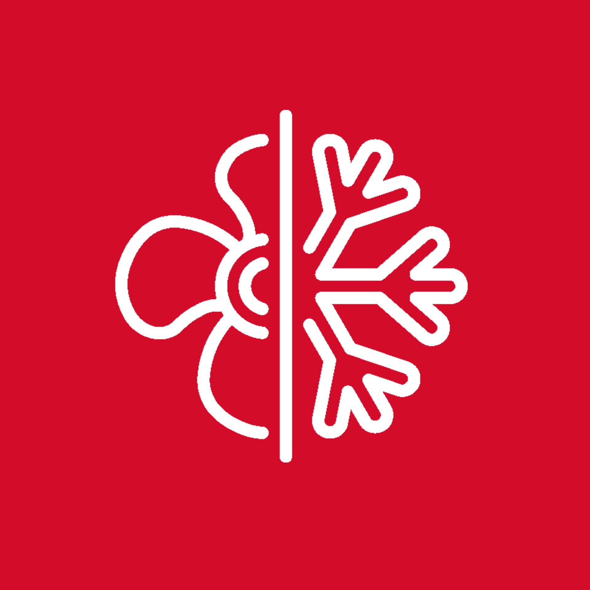 Eine weiße Strichzeichnung eines Gehirns auf rotem Hintergrund.