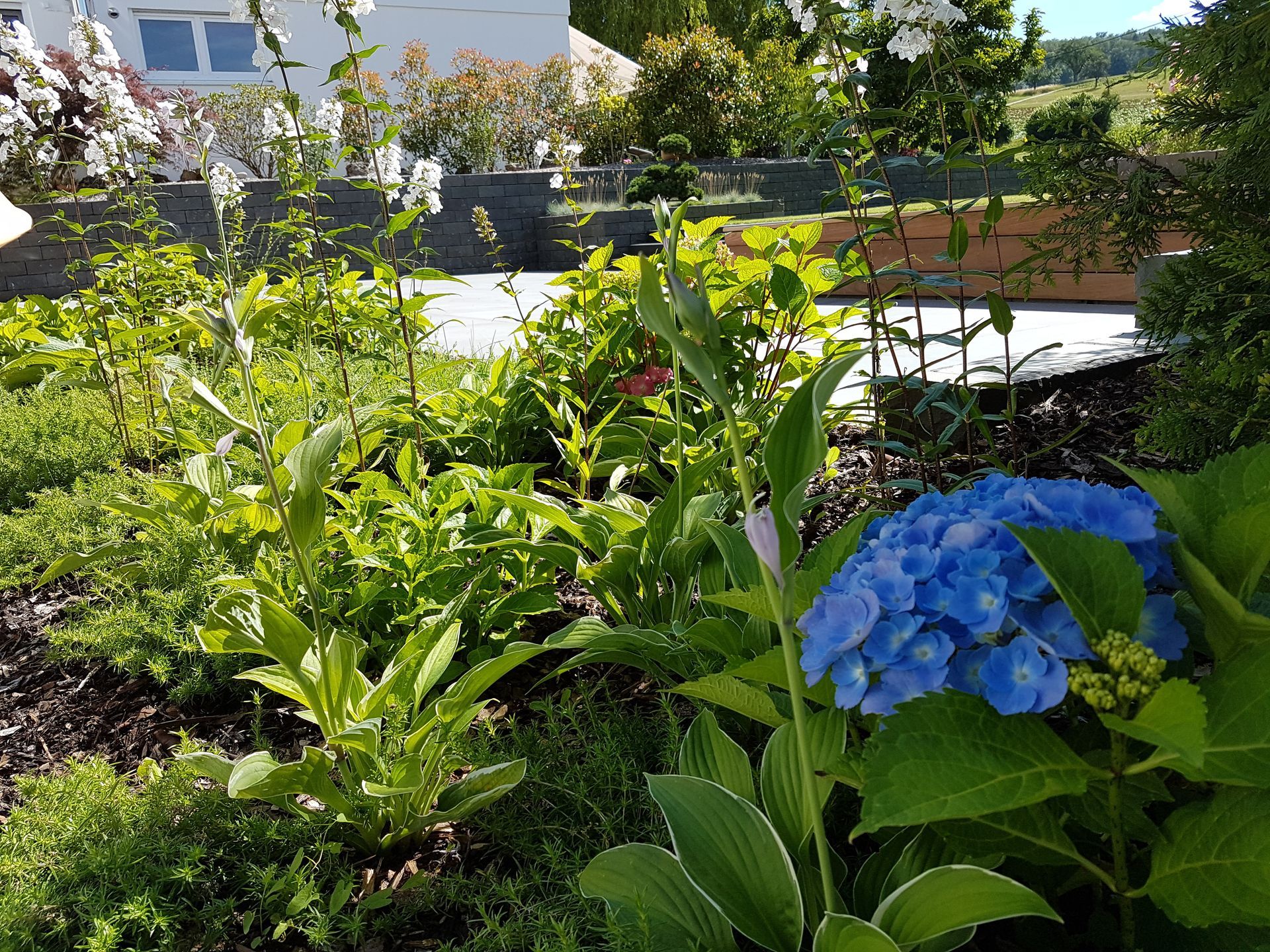 Blumenbeete in einem Garten mit Terrasse im Hintergrund