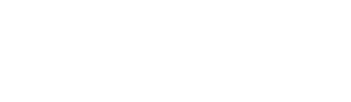Adi Peetroons