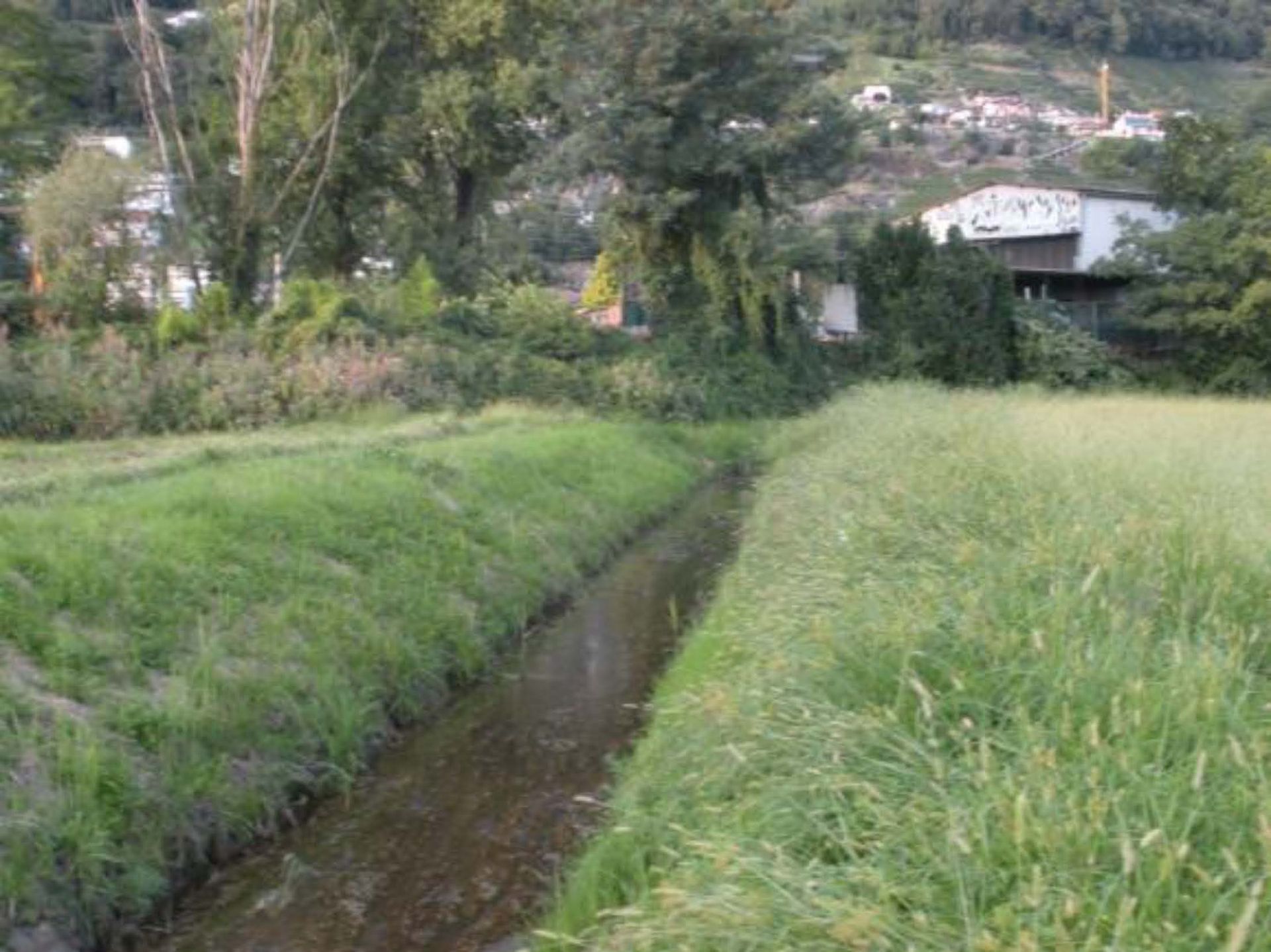 Un piccolo ruscello erboso scorre attraverso un campo aperto verso una casa e degli alberi in lontananza.