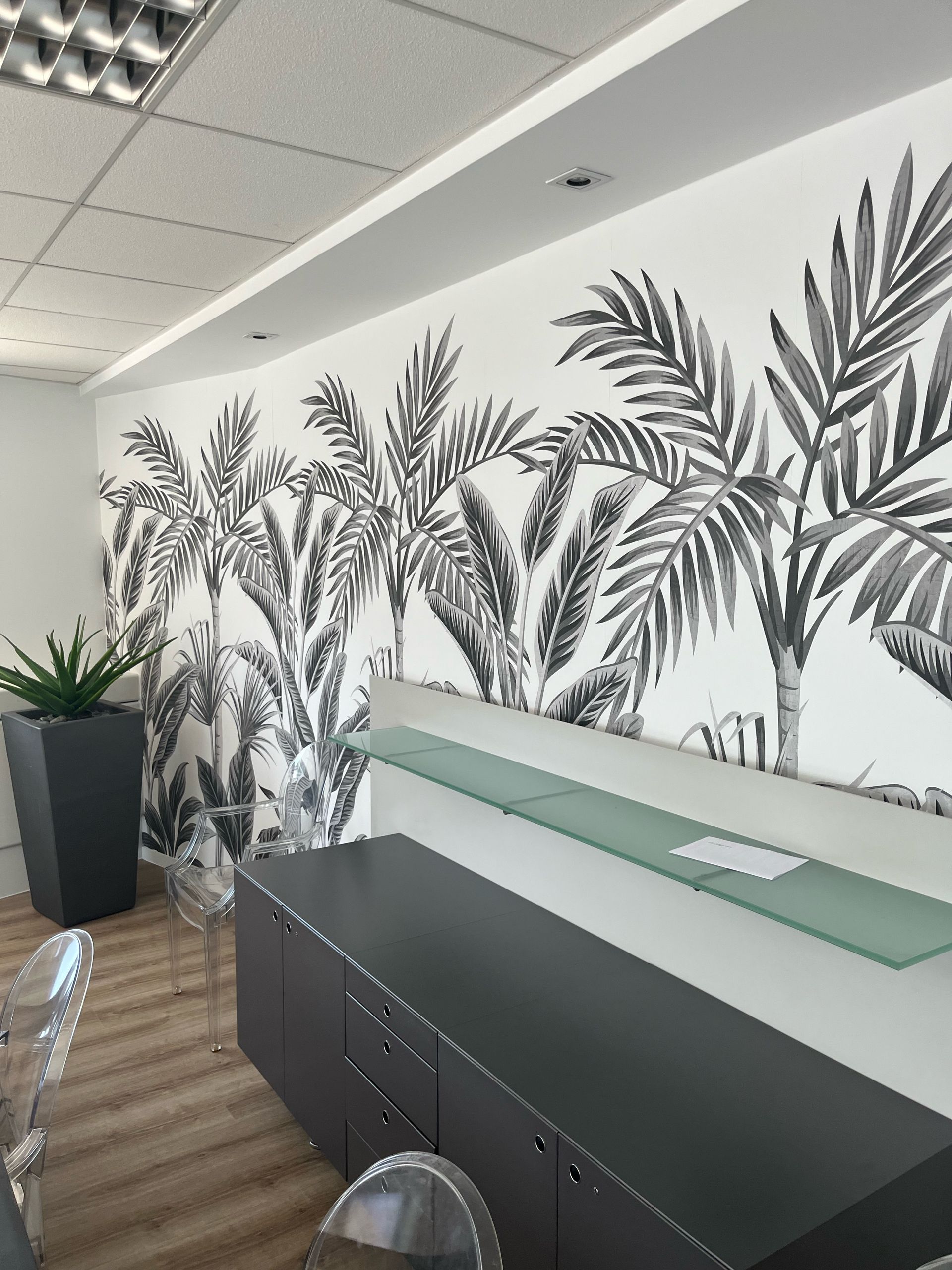 Bureau avec une fresque de palmier, une armoire noire, des chaises transparentes et une grande plante verte.