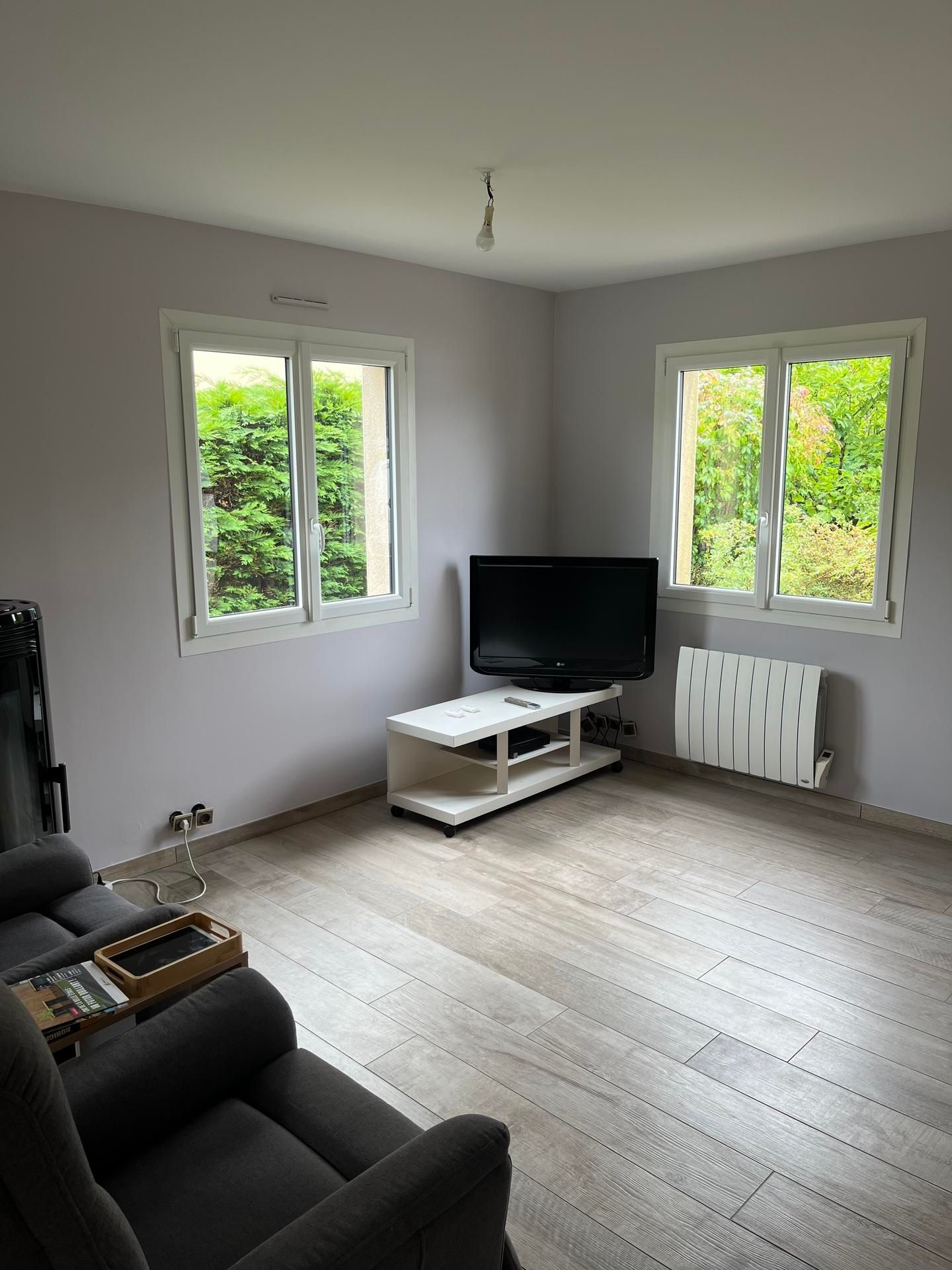 Salon avec fenêtres, téléviseur sur pied et canapé. Murs gris, parquet imitation bois.