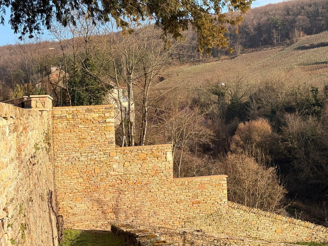 Mur en pierre avec des marches surplombant un flanc de colline couvert d'arbres dénudés et de vignes.