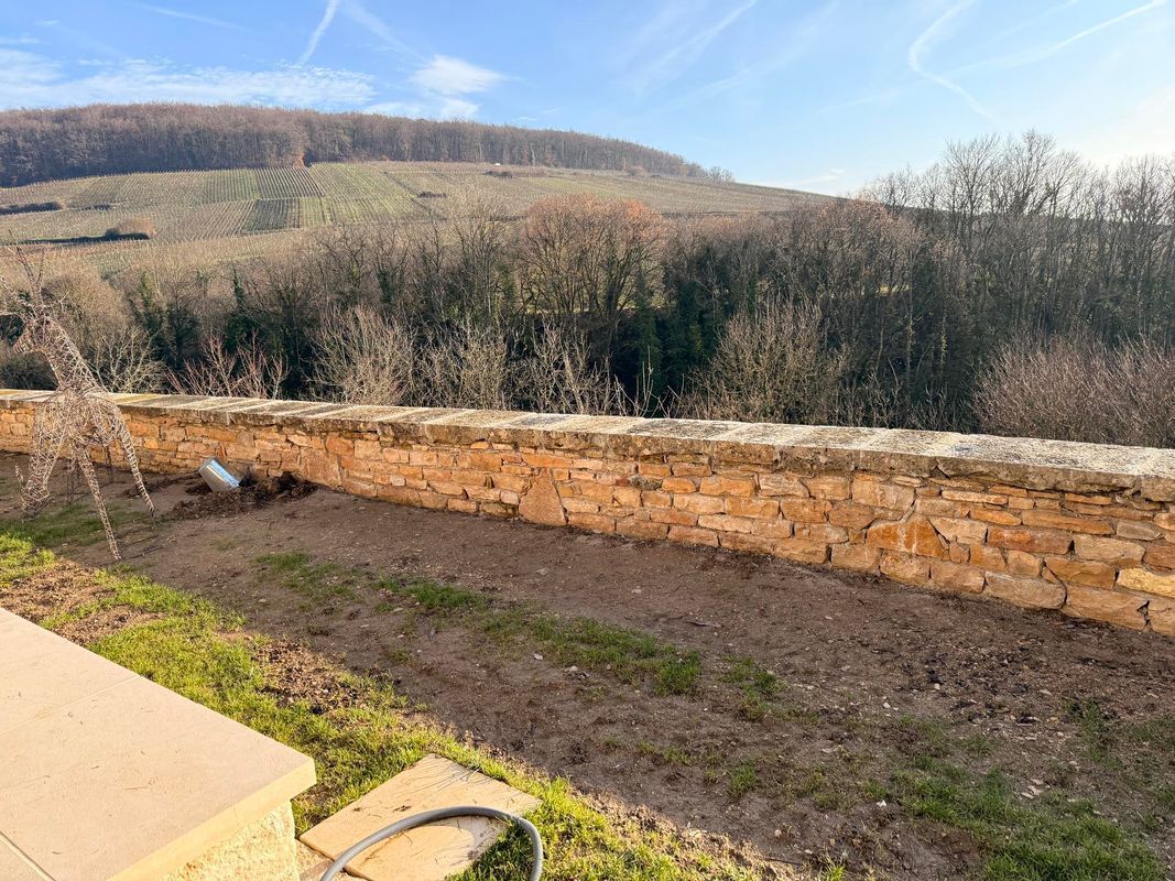 Un mur de pierre envahi par les herbes hautes et un vignoble à flanc de colline en arrière-plan, par une journée ensoleillée.
