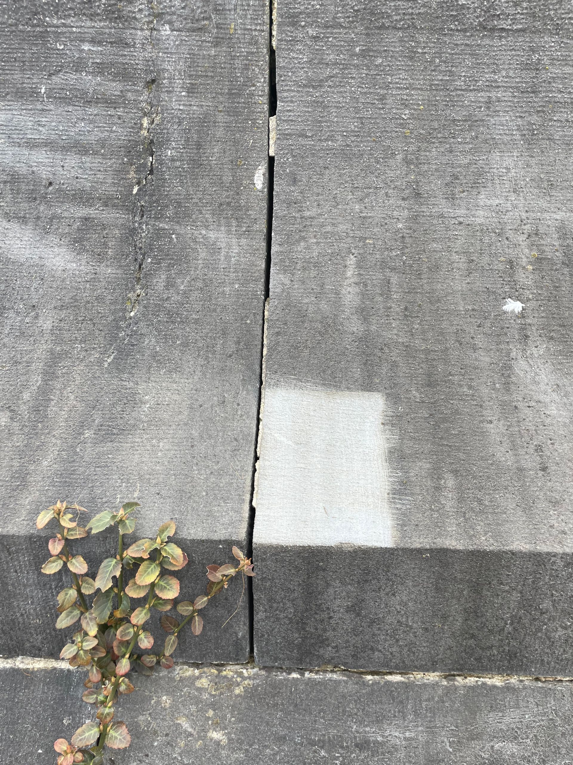 Trottoir en béton gris avec une fissure verticale.