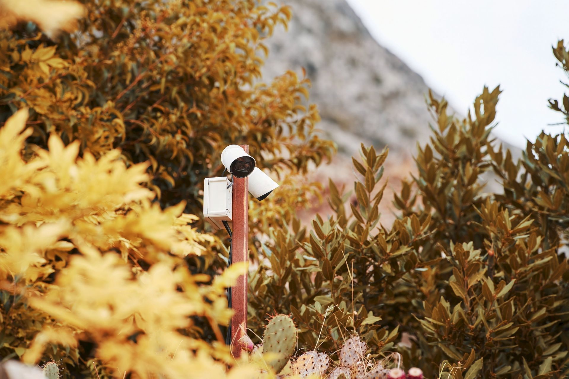 Kameraanlage im Garten 