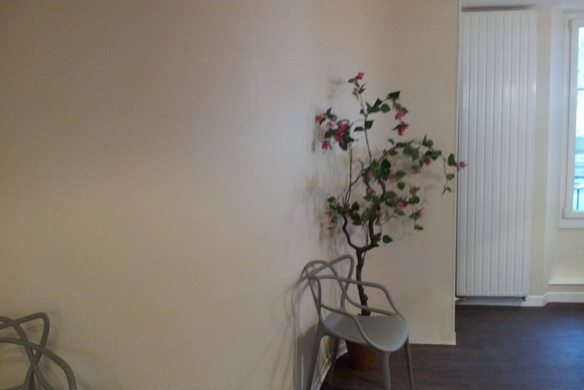 Rénovation d'une salle d'attente