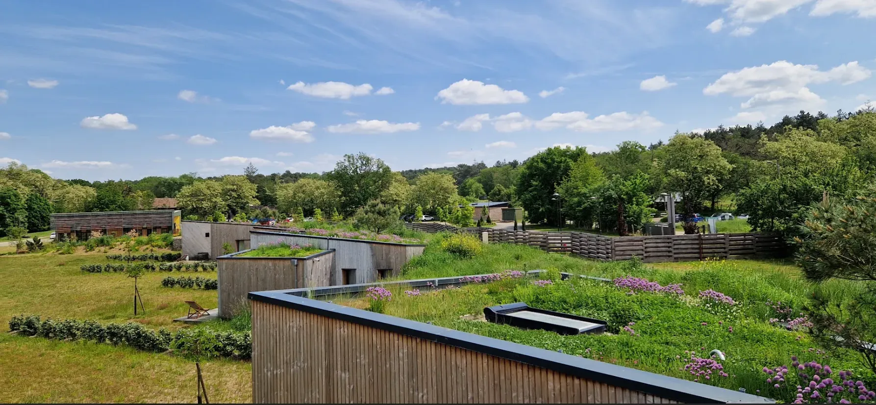 Toiture naturelle des éco-lodges
