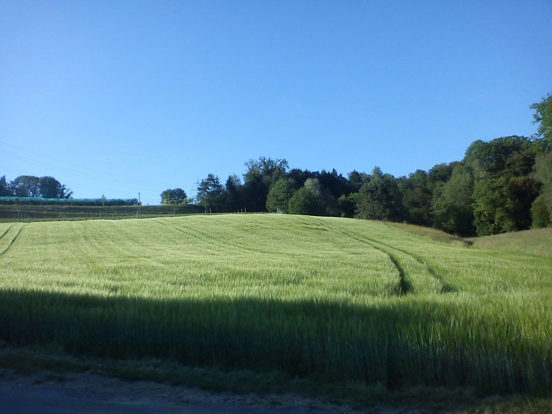 Field – Marcel Beerli