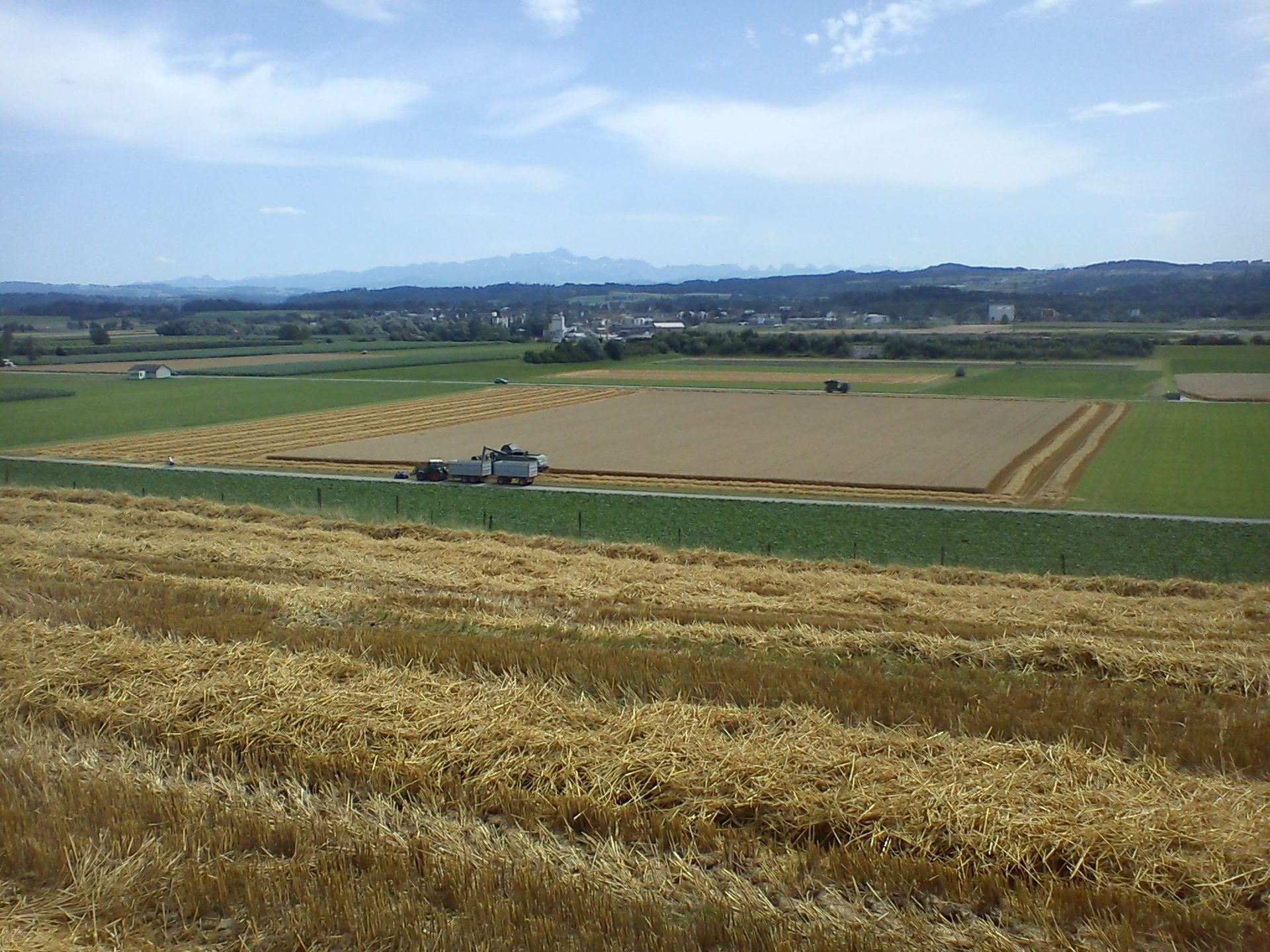 Cornfield – Marcel Beerli