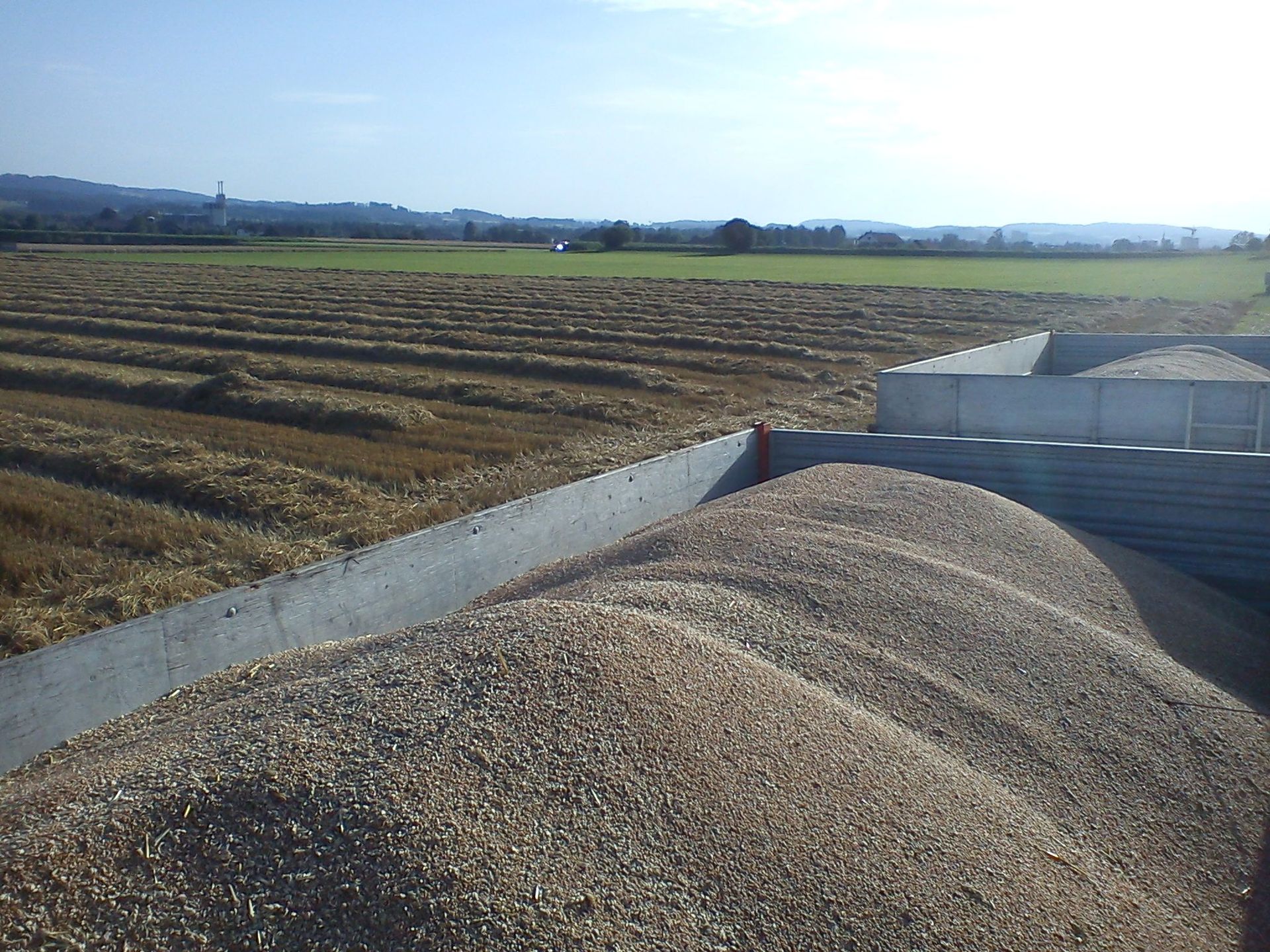 Corn – Marcel Beerli